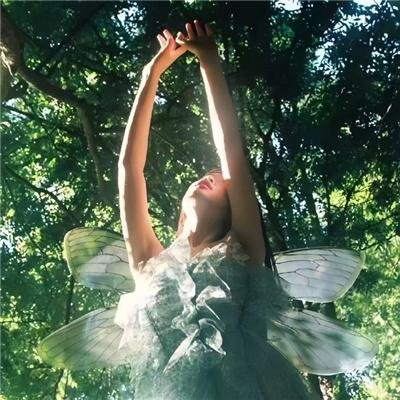 二龙湖浩哥之风云再起